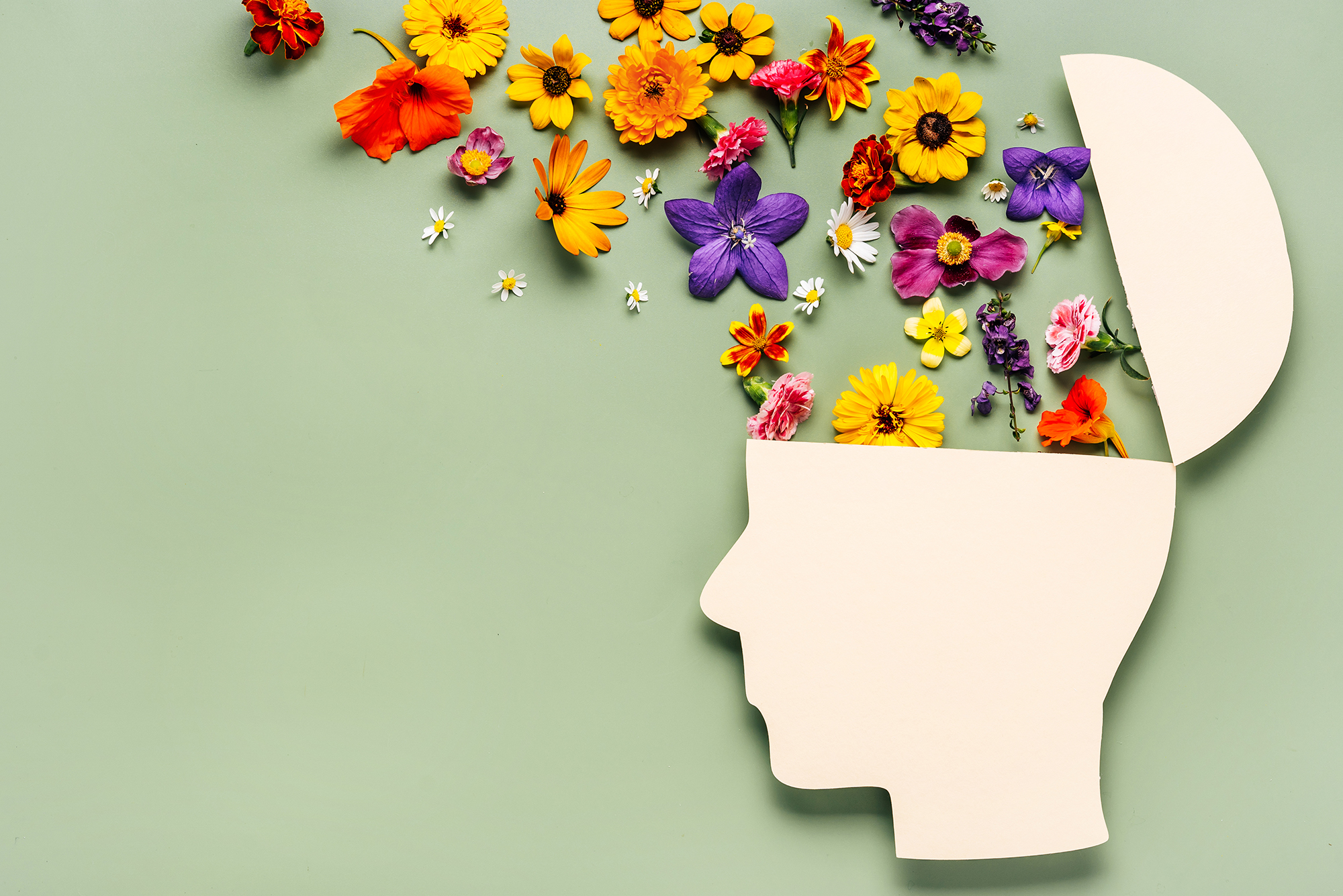 The Green Light Project – Tobacco Free Lancaster County (NE) The Green Light Project - Tobacco Free Lancaster County (NE)